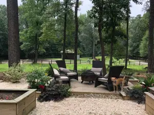 Peaceful Horse Farm Retreat — bring Your Dogs!