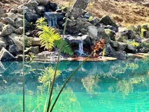 Cabaña en el bosque-Termas de Chillán