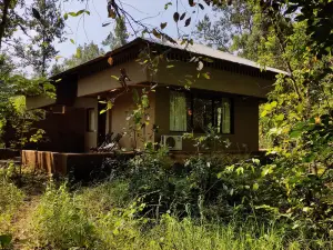 Saccharum Safari Lodge