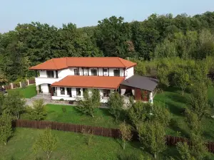 Pensiunea Emelys酒店