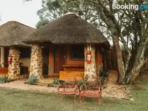 Amphitheatre Backpackers Lodge