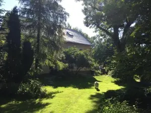 Wellness apartman Beavital