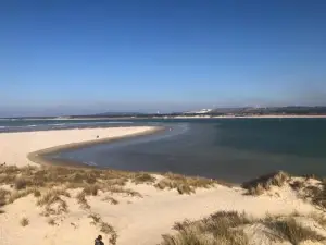 Charmant T2, Hyper-Centre, à 50m de la Plage !