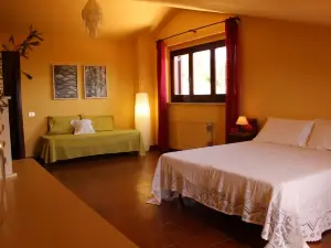 B&B Coldulivo
