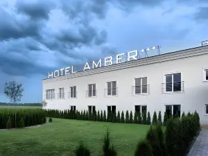 The Amber Business & Spa Hotel