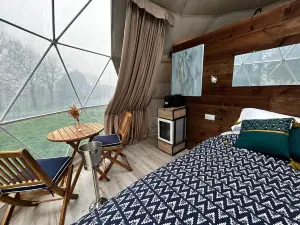 Berry Dome