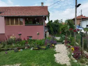 Stancic 019