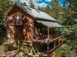 Family Fun Log Cabin in the Pines - Game Room + Slide