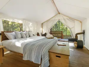 Under Canvas Glacier