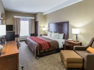Comfort Inn South