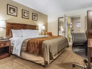 Comfort Inn