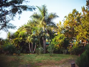 Irova Apart Hotel