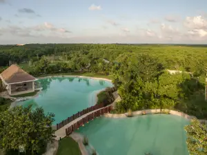 Platinum Yucatan Princess Adults Only - All Inclusive