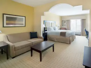 Holiday Inn Express & Suites Georgetown