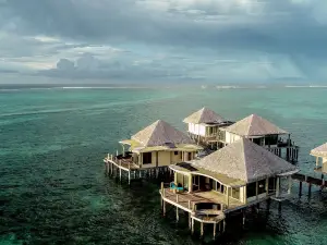 Coconuts Beach Club Resort and Spa