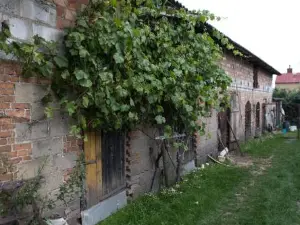 Agroturystyka Karpińscy