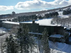 Ana InterContinental Appi Kogen Resort