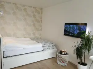 Buto Nuoma šviesos gatvėje