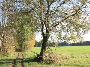 Ferienwohnung Bei Bunsel´s