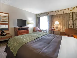 Comfort Inn at Buffalo Bill Village Resort