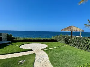 Stunning Ocean View
