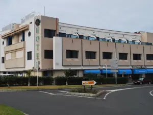 Hotel Puerto de Las Nieves