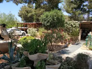 Alloggio in Villa Cristina B&B