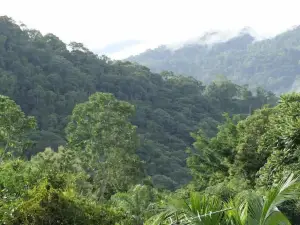 Pura Natura Lodge Arroyo