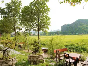 Tam Coc Mr Loa Bungalow
