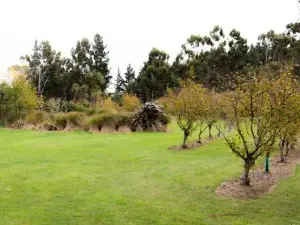 Mona Vale Country Estate by Tiny Away