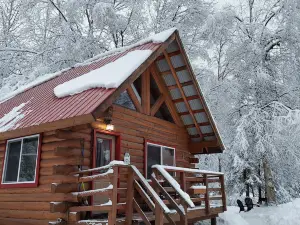 Hatcher Pass Cabins