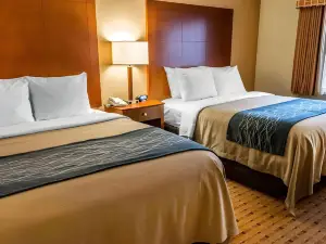 Comfort Inn & Suites Franklin East