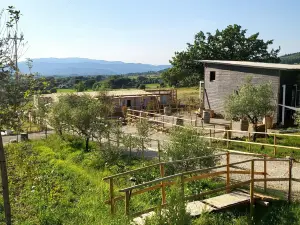 VioVillas Agriturismo Glamping Arezzo