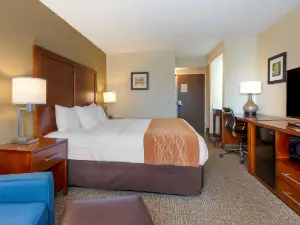 Comfort Inn & Suites Wilkes Barre - Arena