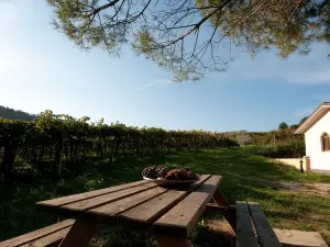 Casa Dell'Orto