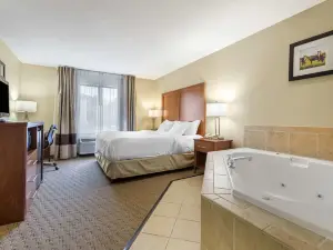 Comfort Inn & Suites Black River Falls I-94
