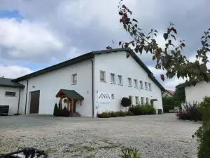 Winnica Anna Noclegi