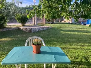 Mirada A Gredos