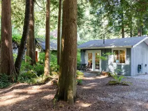 Getaway Cabin in the Woods with Large Outdoor Deck