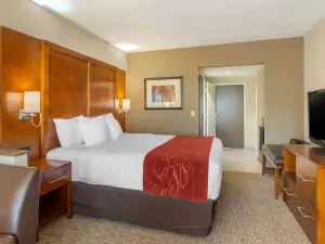 Comfort Suites Southpark