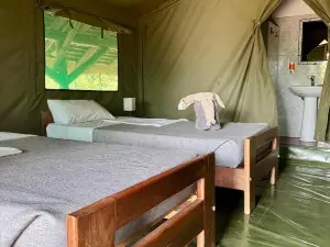 Bwana Tembo Safari Camp