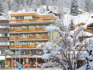 Hotel Central Wolter - Grindelwald