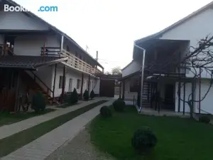 Casa Floare de Colt