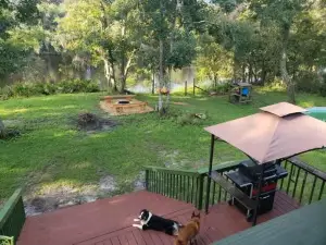 Margaritaville on the Suwannee River