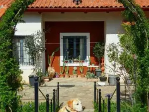 Helicon Muses Friendly Mountain B&B Guesthouse