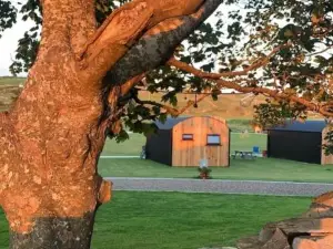 Castledarcy Glamping
