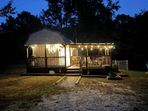 Southern Blooms! Porch Swinging, Pet-Friendly🐶, Tiny Home near Kentucky Lake!