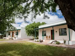 Olive Grove Guest Farm
