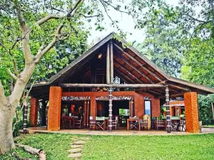 Phophonyane Falls Ecolodge