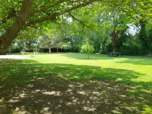 ル マ デ ヴェルジェ